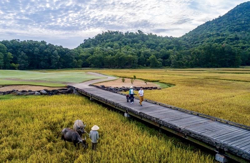 Featured image for “Water Buffalo and a Canadian: Vietnam’s Most Sustainable Golf Course”