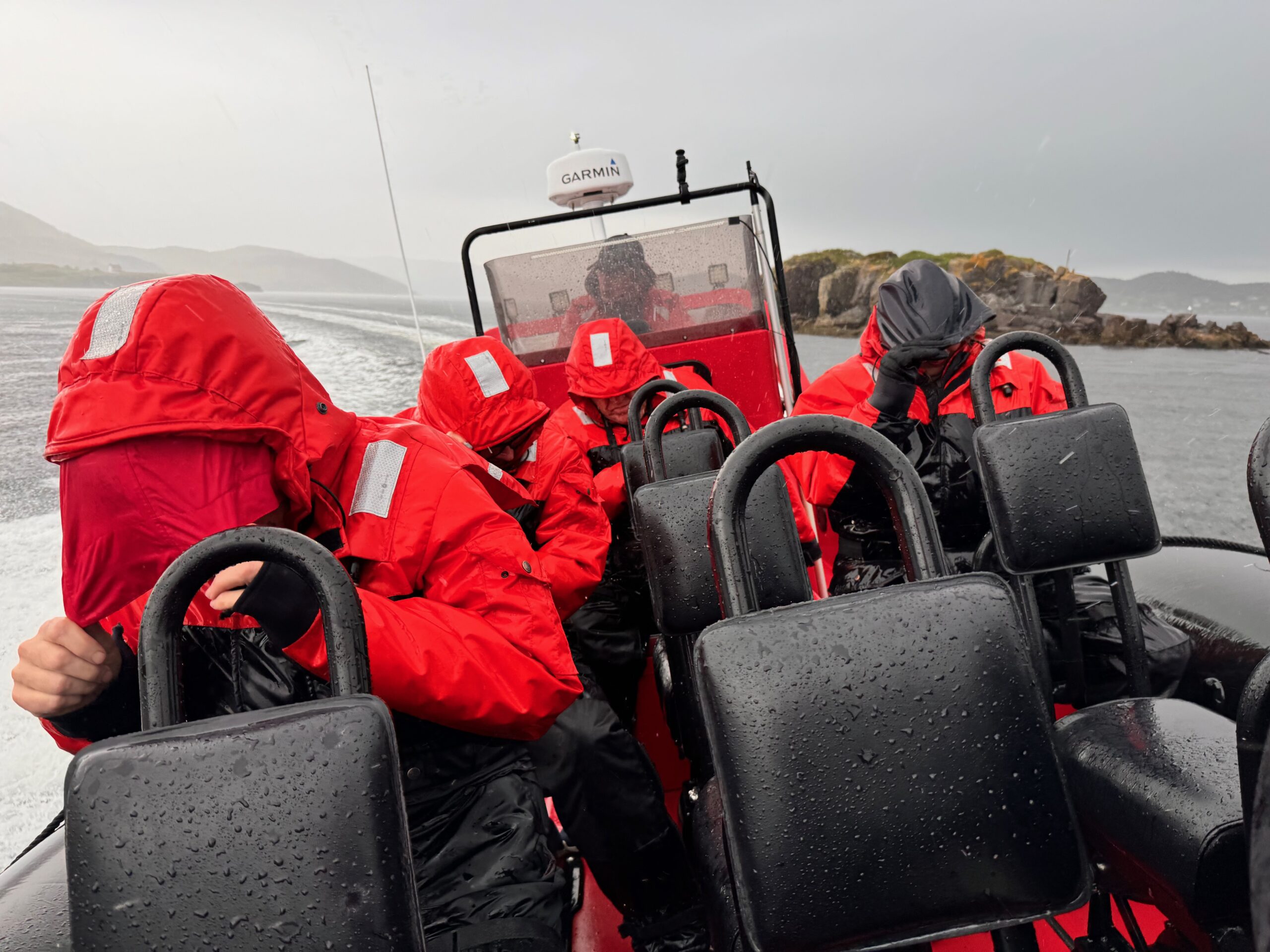 Featured image for “There She Blows” – A Zodiac Adventure”